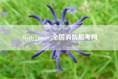 仁寿全国消防招考网