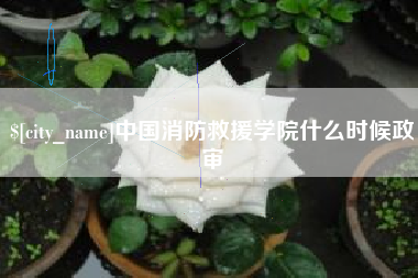 仁寿中国消防救援学院什么时候政审