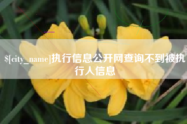 仁寿执行信息公开网查询不到被执行人信息