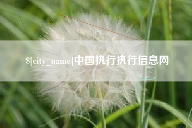 仁寿中国执行执行信息网