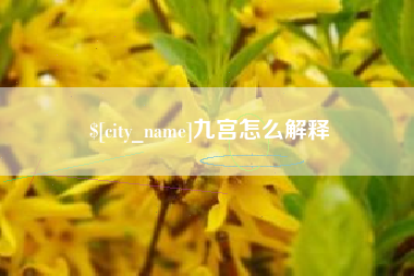 仁寿九宫怎么解释