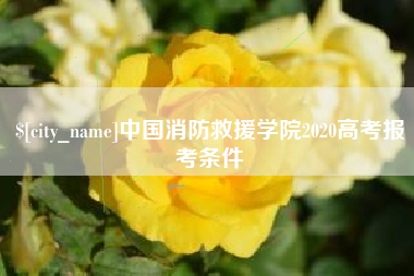 仁寿中国消防救援学院2020高考报考条件
