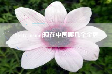 仁寿现在中国哪几个金牌