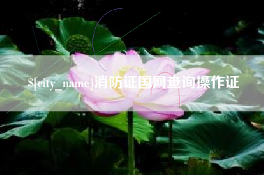 仁寿消防证国网查询操作证