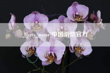 仁寿中国消防官方