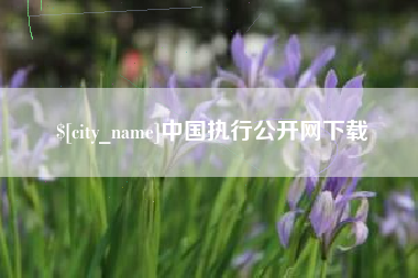 仁寿中国执行公开网下载