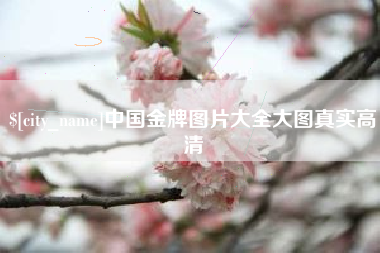 仁寿中国金牌图片大全大图真实高清