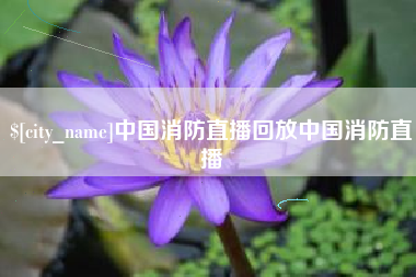 仁寿中国消防直播回放中国消防直播