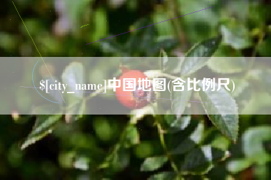 仁寿中国地图(含比例尺)