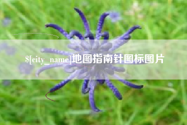 仁寿地图指南针图标图片