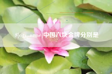 仁寿中国六块金牌分别是