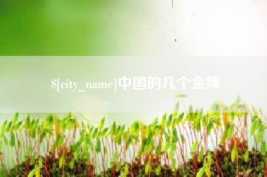 仁寿中国的几个金牌