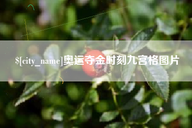 仁寿奥运夺金时刻九宫格图片