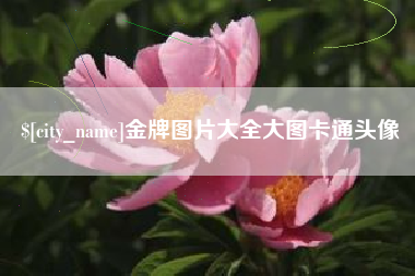 仁寿金牌图片大全大图卡通头像
