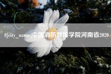仁寿中国消防救援学院河南省2020
